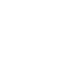 SAFENet